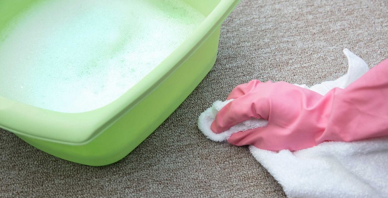 Dispelling The Myths That Bleach Can Be Used On Carpets